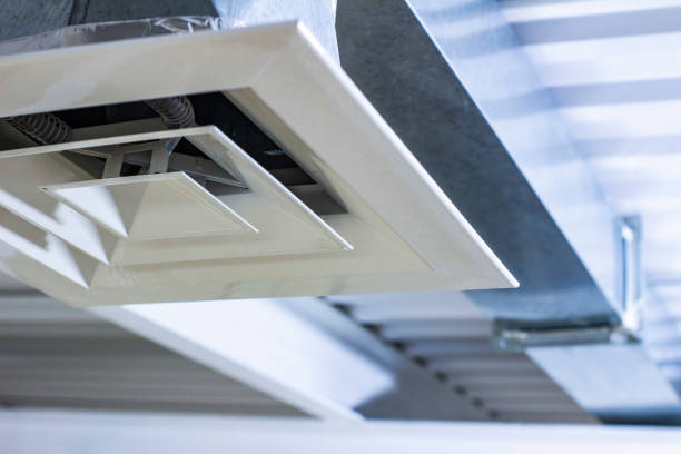 Best Air Duct Sanitizing Services  in Adel, IA